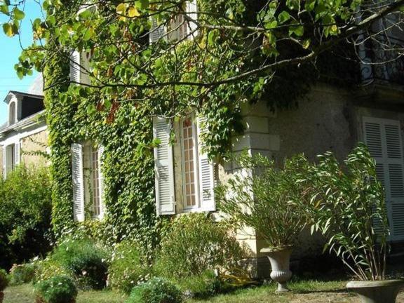 La Marronniere Hotel Cheffes-sur-Sarthe Exterior foto