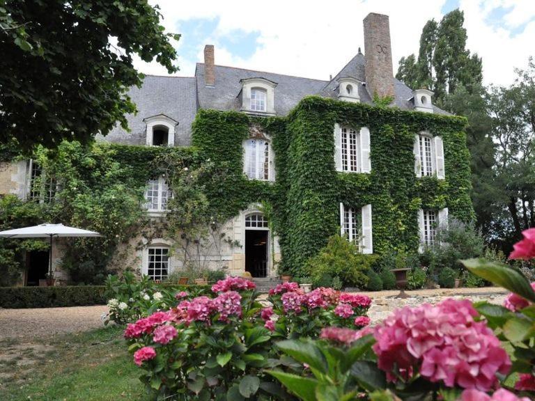La Marronniere Hotel Cheffes-sur-Sarthe Exterior foto