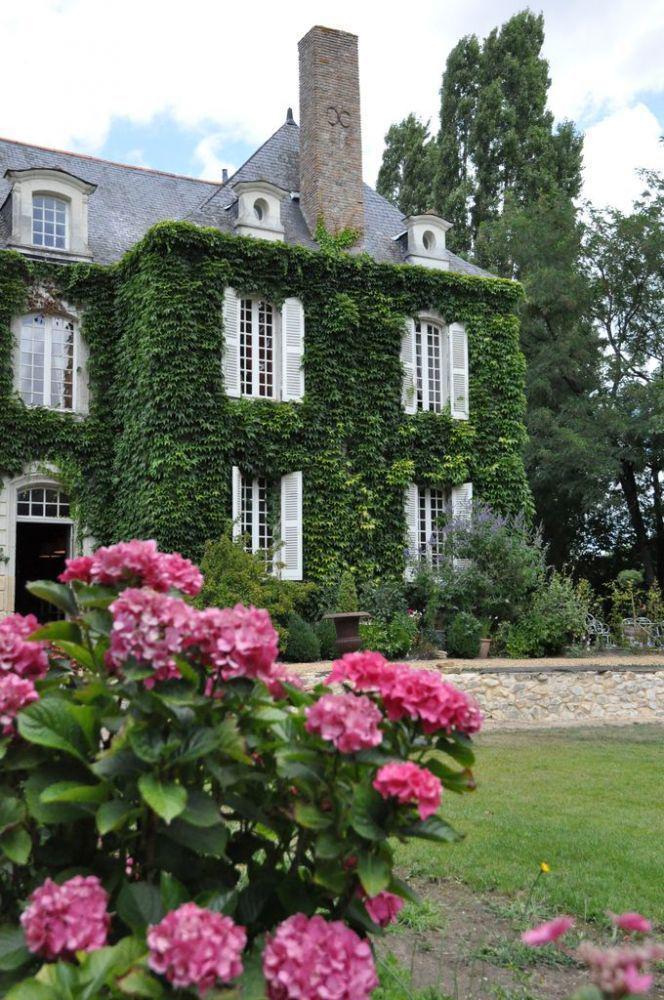 La Marronniere Hotel Cheffes-sur-Sarthe Exterior foto